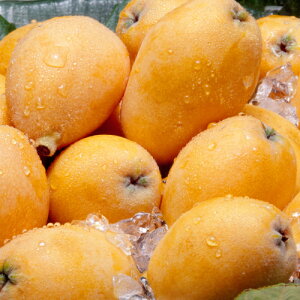 ʎc r iтEfjc NC[ 4.5 (a13.5cm) |bgc ʎc Ύ f