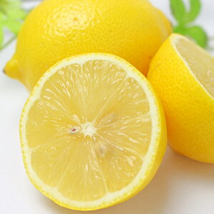 ʎc kn X{4.5(a13.5cm)