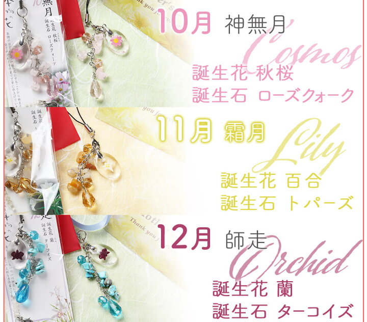 楽天市場 クリスマス ギフト プレゼント 誕生花 誕生石コラボレーションストラップ 全国送料無料 ネコポス ポスト投函 あなたの街のお花屋さんイングの森 楽天市場 クリスマス ギフト プレゼント 誕生花 誕生石コラボレーションストラップ 全国送料無料 ネコポス ポスト投函 あなたの街のお花屋さんイングの森
