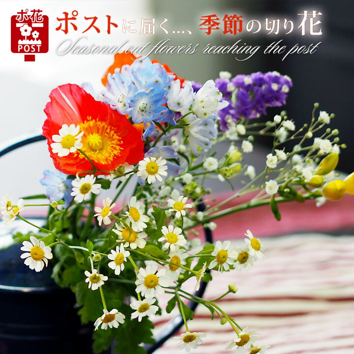 楽天市場 ホワイトデー ギフト ポスト投函の切り花気軽に飾れる5輪ミニブーケ 日本全国送料無料 北海道 沖縄及び離島へのお届けは不可ポ花 ポスト投函の切り花 あなたの街のお花屋さんイングの森