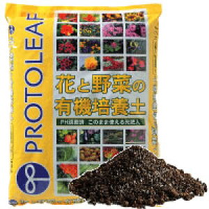 vg[t ԂƖ؂̗L@|{y 12bg