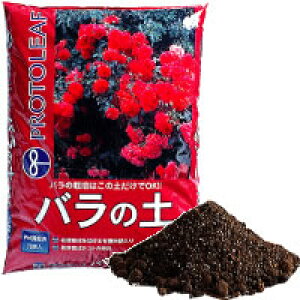 vg[t o̓y@14bg1P[Xi4ܓjSEis