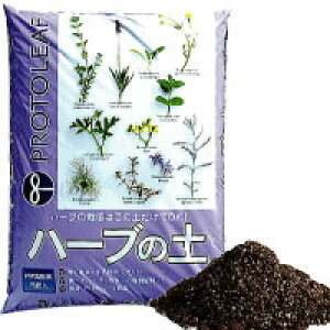 vg[t n[u̓y@14bg1P[Xi4ܓjSEisyV1ʁ