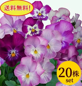 rI V[p[eB[ vXLeB[ |bgc 20Zbg  pW[ rI c CObVK[f 񂹐A