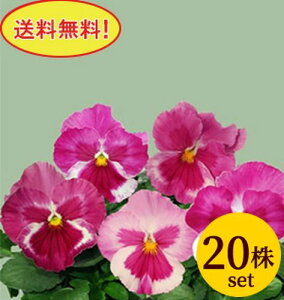 pW[ 炳Ver2 j[Nn |bgc 20Zbg  pW[ rI c CObVK[f 񂹐A