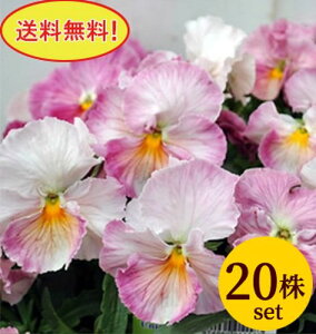 pW[  j[Nn |bgc 20Zbg  pW[ rI c CObVK[f 񂹐A