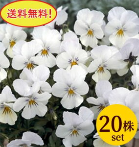 rI rr NAzCg |bgc 20Zbg S pW[ rI c CObVK[f 񂹐A