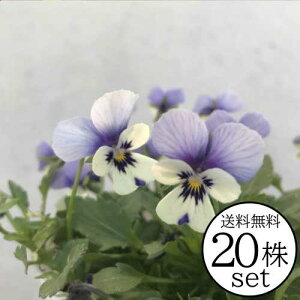 rI Ԃ܂V[Y@t̊C |bgc@20 pW[ rI ݂ c 񂹐A