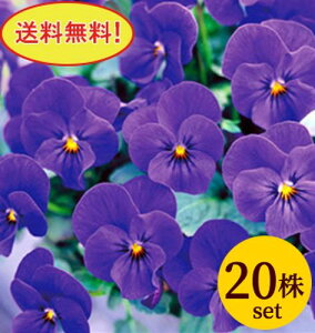 rI rr I[Vu[ |bgc@20Zbg  pW[ rI c CObVK[f 񂹐A