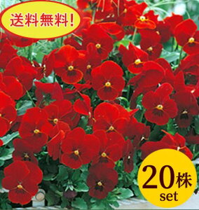 rI rr XJ[bg |bgc@20Zbg  pW[ rI c CObVK[f 񂹐A