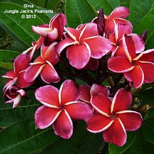 vA@W[i 4ia12cmjWOWbNX