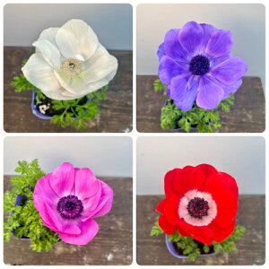 All |gV[Y VO 3.5ia10.5cmj|bgc@d 1|bg h