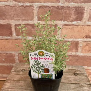 ^C Vo[^C 3ia9cmj|bgc@1 N@n[ueB[@n[uc@@t