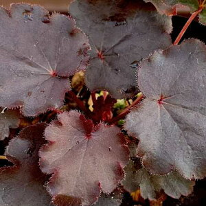 hq[Pic{TSj h`F@r^[VR 3ia9cmj|bgc@1 h VF[hK[f CObVK[f