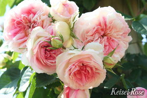 oc A~ }eBJ Yc c 6A CAo o c o NC~O[Y