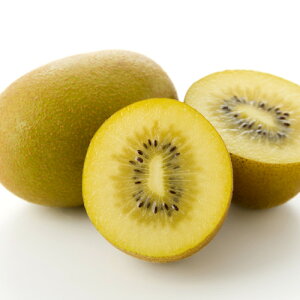 ʎc LEC c W{CG[iXj1N ڂ4.5(13.5cm) |bgc LECt[c c ʎc t 鐫