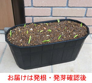 `[bv{bNX I[o^Cv񂹐A 2{ȍ~͂\i Y҉iŁIKACXN[Ă܂Eis