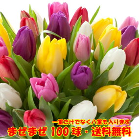 楽天市場 花の球根 人気ランキング1位 売れ筋商品