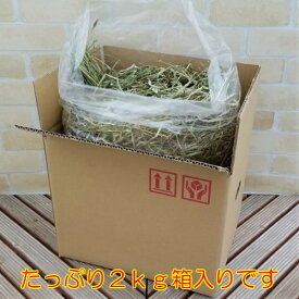 牧草 干し草 アルファとチモシー選べる2kg ウサギ・ヤギなどの小動物に栄養価の高い干し草