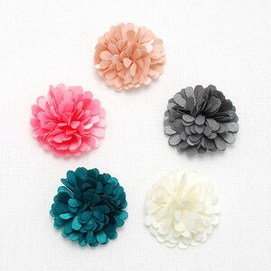 RT[W`[t@Te @Ȃӂӂ헧̂ԁ@2@m݌Ɍn