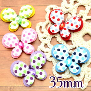 Ap[c@J[Xg[@z̒`[t@35mm@Jtʁ@2@m݌Ɍn