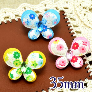 Ap[c@J[Xg[@z̒`[t@35mm@ԕ@2@m݌Ɍn