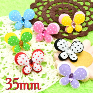 Ap[c@J[Xg[@z̒`[t@35mm@ʁ@2@m݌Ɍn