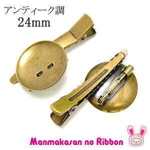 NbvtRT[Ws@AeB[N@24mm@؍@2@m݌Ɍn