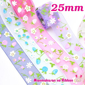 25mm@I[KW[@Ԃƃx[̃{@4m@m݌Ɍn