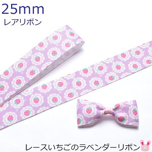 25mm@vg{@[X̃x_[{@2m