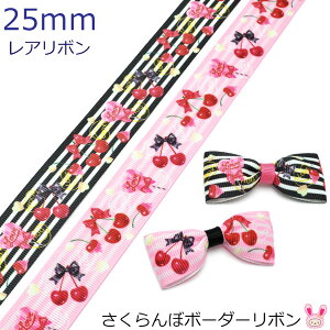 25mm@vg{@ڃ{[_[{@2m@m݌Ɍn