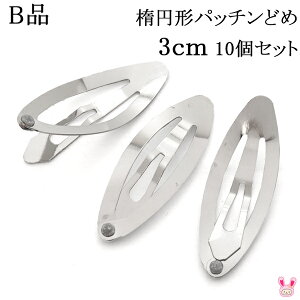 sBit@ȉ~`pb`ǂ߁@3cm@Vo[@؍@10Zbg@m݌Ɍn