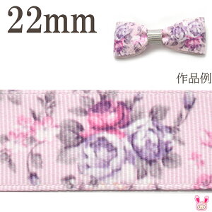 22mm@vg{@l[ỸAeB[N{@2m@m݌Ɍn