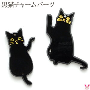 ANZT[p[c@L̃tbg`[@2@m݌Ɍn