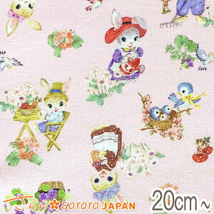 @gAj}̕炵@BsNn@10cmPʁ@؂蔄@511264@V[`On@(3)@[݌Ɍ]