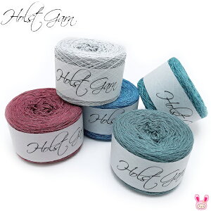 ю@zXgK[@R[Xg@Coast@ׁ@mE[55Rbg45%@50g@350M@kF21-40lholstgarn@yzցz 