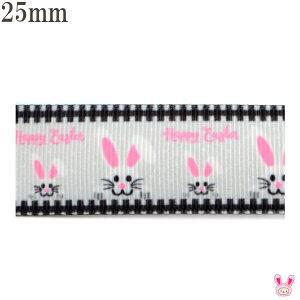 25mm@vg{@O[̃nbs[rbg{@2m@m݌Ɍn