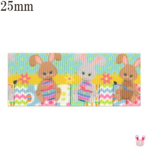 25mm@vg{@̂킭킭C[X^[p[eB{@2m@m݌Ɍn