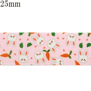 25mmvg{@jWƂ̃sN{@2m@m݌Ɍn