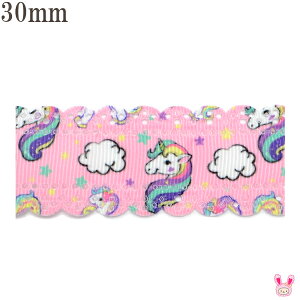 30mm@vg{@sN߂XJbṽjR[{@2m@m݌Ɍn