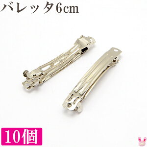 ܂Ƃ߂Ă@ob^@6cmiVo[j@؍@10Zbg