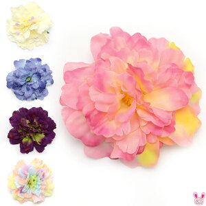 ԁ@tt[RT[W@a11cm@1@yzցz@[݌Ɍ]