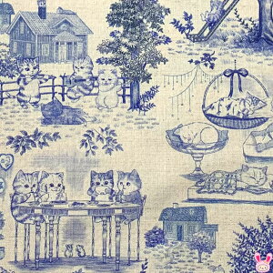 22fabric@LbgK[f@Au[×Lin@ȖV[`On@ɂɂt@ubN@(273)(50cmȏ10cmPʐ؂蔄)