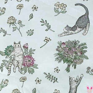 YUWAL֏X@Lbc@AiKohno@Bu[n@V[eBOn@Cats@KA824708@i83j@(50cmȏ10cmPʐ؂蔄)@m݌Ɍn