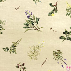 YUWAL֏X@n[uƉԁ@EN[n@V[eBOn@829667@i272j@(50cmȏ10cmPʐ؂蔄)@m݌Ɍn