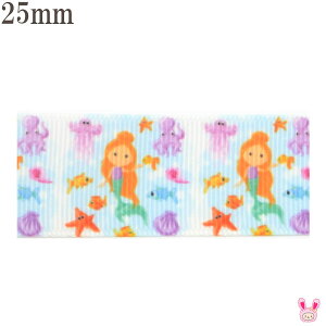 25mm@vg{@}[ChƊC̃p[eB{@2m@m݌Ɍn