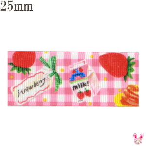 25mm@vg{@sÑ`FbNƃXC[c{@2m@m݌Ɍn