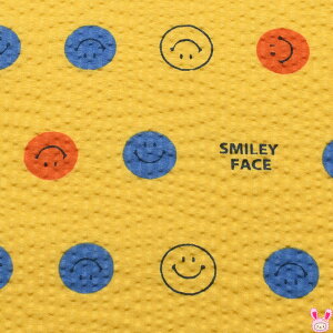 }`X}C[@YCG[n@10cmPʁ@؂蔄@SMIRF-01@bvn@pps (32)@ m݌Ɍn