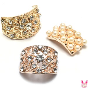 S[hp[c@p[XNGAƃXg[t[̃J[up[c@1