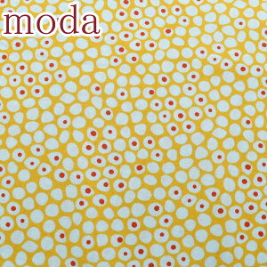 Moda@N₩ȑ̃hbg@21CG[n@_@1782-21@V[`On@(35)@(50cmȏ10cmPʐ؂蔄)@m݌Ɍn